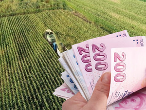 Hazine destekli kredilerde kritik değişiklik! Y&uuml;zde 25 kesinti, 300 bin TL &uuml;st sınır