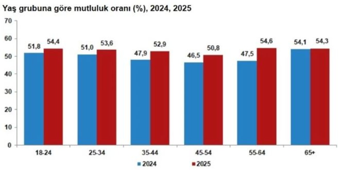 T&Uuml;İK a&ccedil;ıkladı! Mutluluk y&uuml;kseldi ama hayat pahalılığı ilk sırada, G&ouml;rsel 3