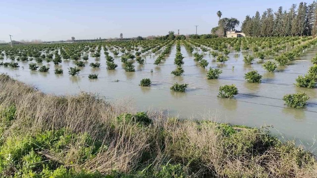 Adana da tarlalar su altında kaldı, Görsel 1