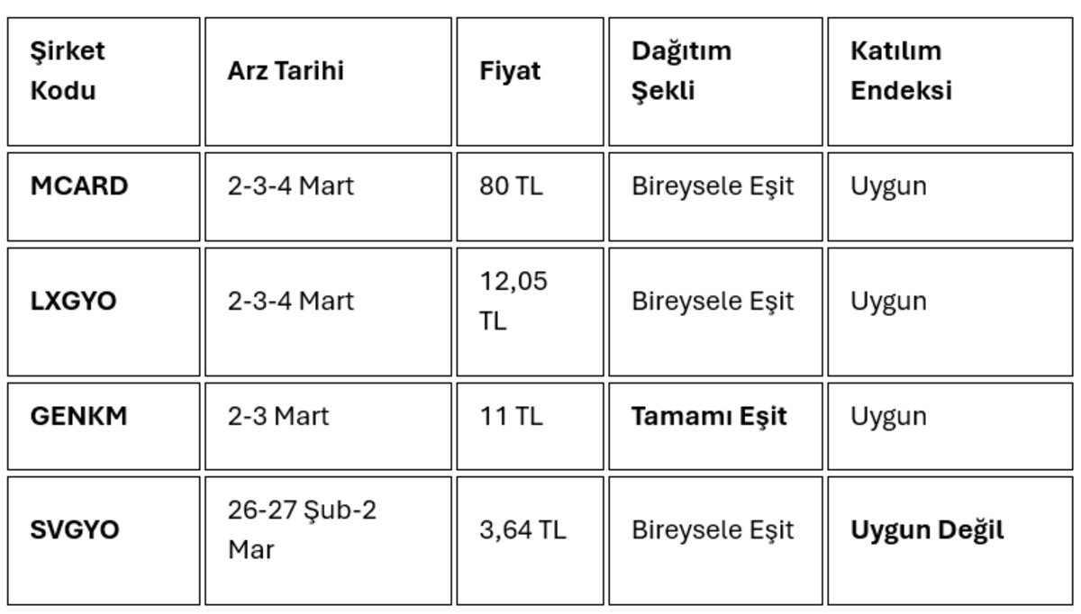 Halka arz takvimi: SVGYO, LXGYO, MCARD, GENKM… Şirketler peş peşe sıralandı! İşte halka arzlarla ilgili tüm detaylar, Görsel 5