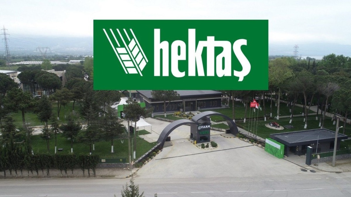 HEKTS Hisse Yorum: Hissede Son Durum Ne? 3,19 Seviyesi Kritik, Görsel 1