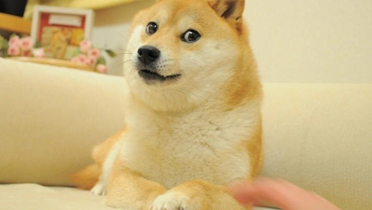 Uzmanlar Açıkladı! Doge Coin de %650’ye Yakın Yükseliş Başlıyor mu?, Görsel 2