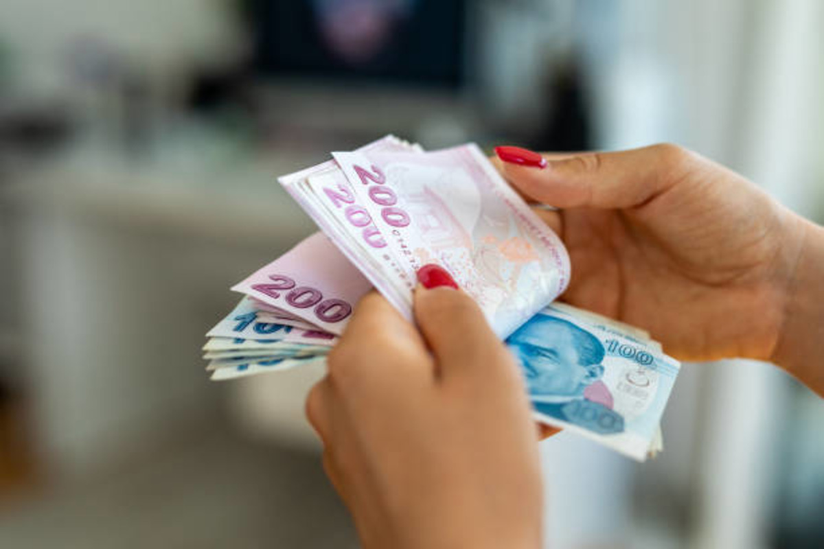 Vatandaşlık maaşında yeni detay! Destekler il il değişecek, Görsel 2