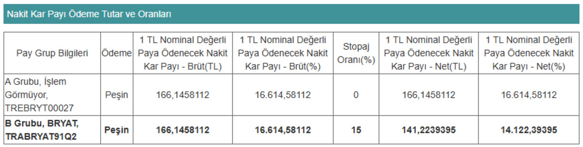 Borusan Yatırım (BRYAT) hisse başına 166 TL’lik rekor temettü verecek!, Görsel 1