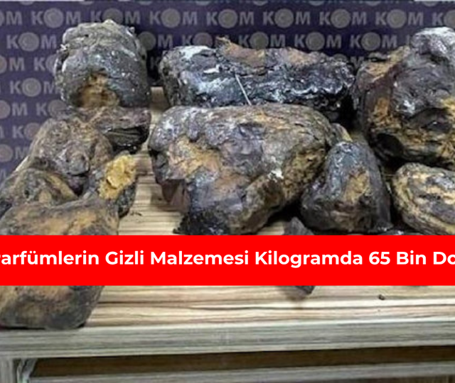 Parf&uuml;mlerin gizli malzemesi kilogramda 65 bin dolar