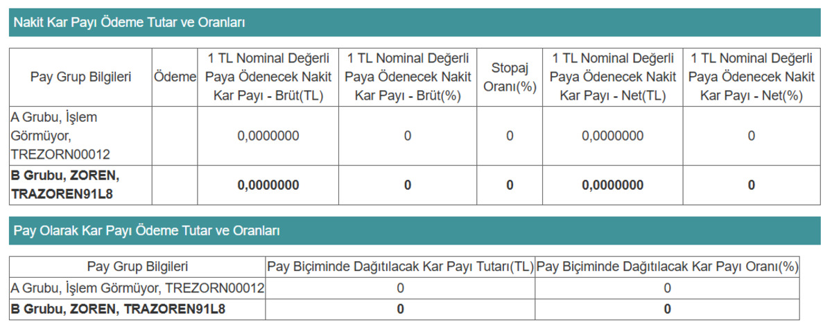 Zorlu Enerji (ZOREN) "Zarar var temett&uuml; yok" dedi, G&ouml;rsel 1