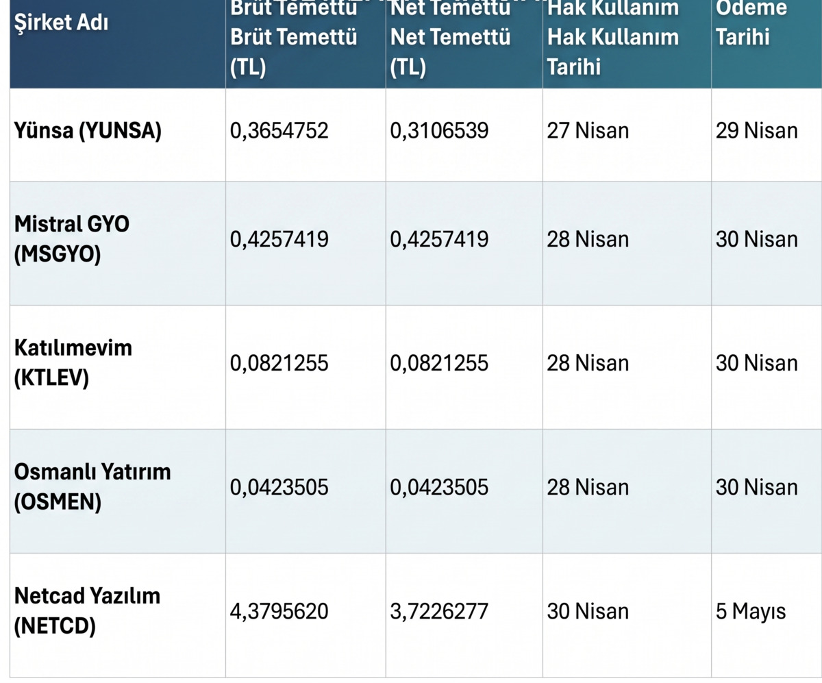 Haftaya 5 şirket kasasını açıyor: Yatırımcılara temettü verilecek, Görsel 2