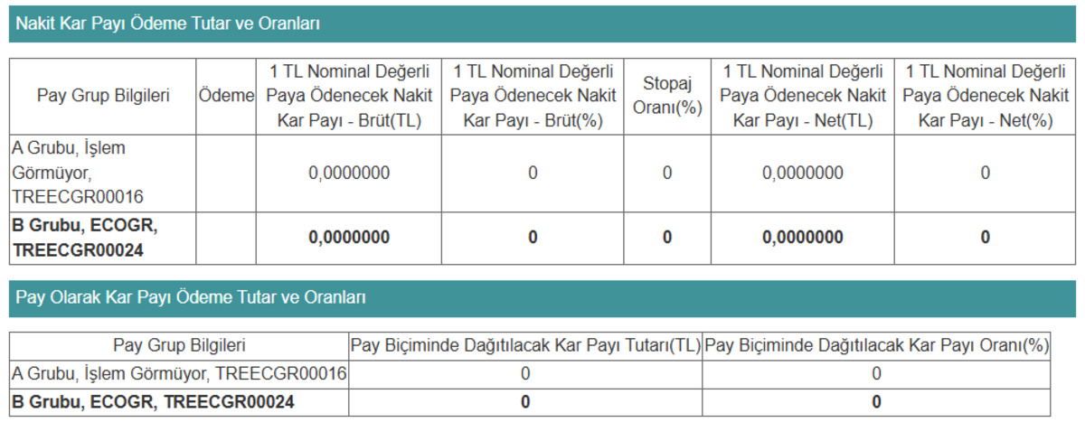 ECOGR kârı öz kaynaklar için ayırdı, "Temettü yok" dedi, Görsel 1