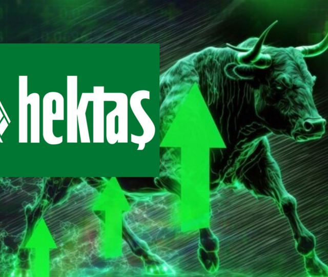 Hektaş&rsquo;ta (HEKTS) tavan serisi s&uuml;r&uuml;yor