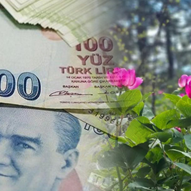 Şakayıklar a&ccedil;tı: Bu &ccedil;i&ccedil;eği koparan 700 bin TL'lik cezadan ka&ccedil;amıyor