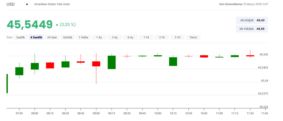 Dev banka dolar/TL de 55 rotasını çizdi, Görsel 2