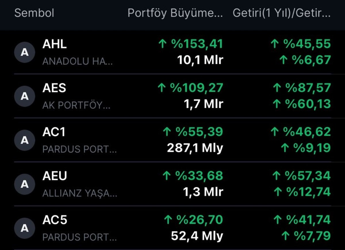 Yatırımcıların yeni g&ouml;zdesi: Portf&ouml;y&uuml;n&uuml; en hızlı b&uuml;y&uuml;ten 9 fon, G&ouml;rsel 2