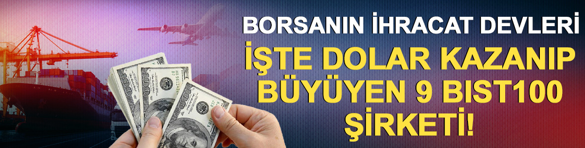 Dolar kazanıp b&uuml;y&uuml;yen 9 BIST100 şirketi