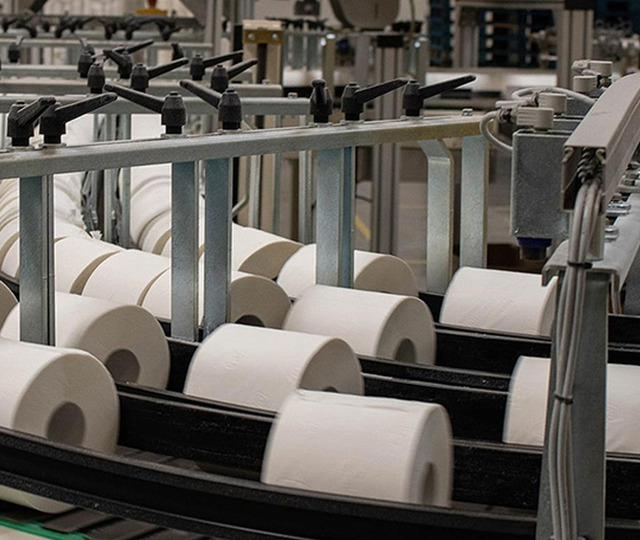 600 milyon dolarlık Selpak ve Solo'nun satış s&uuml;recinde yeni aşama