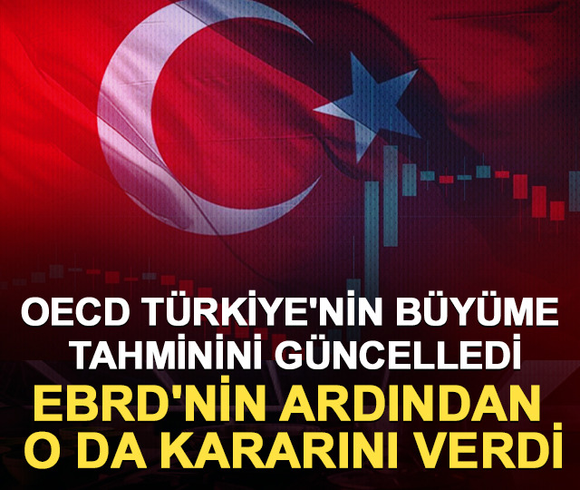 EBRD ve OECD Türkiye'nin büyüme tahminini düşürdü