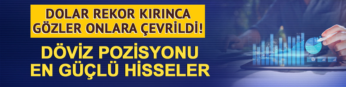 Dolar 46 TL'yi ge&ccedil;ti! D&ouml;viz pozisyonu en g&uuml;&ccedil;l&uuml; hisseler