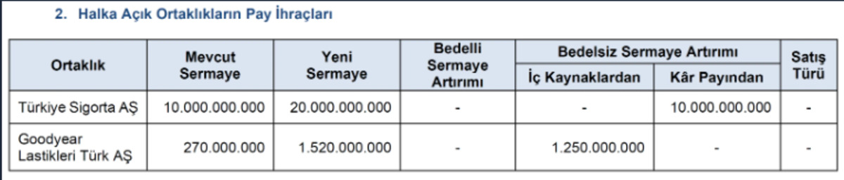 Borsa İstanbul da bedelsiz dalgası: SPK dan 2 dev şirkete onay, Görsel 1