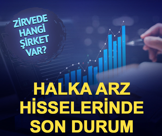 Halka arz hisselerinde son durum: Zirvede hangi şirket var?