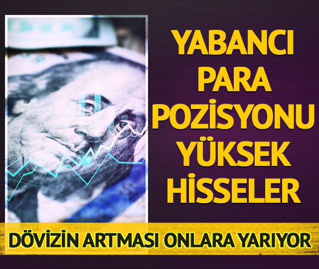 Yabancı para pozisyonu yüksek hisseler!