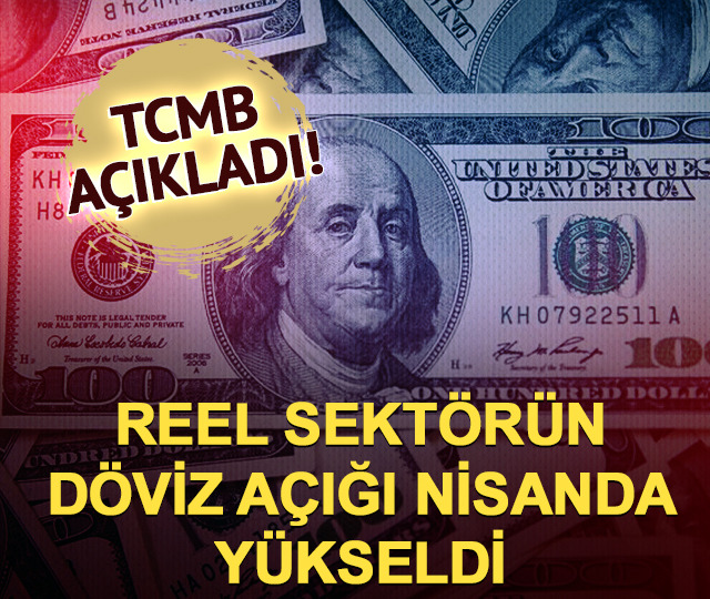 Reel sektörün net döviz pozisyonu açığı 205,6 milyar dolara çıktı