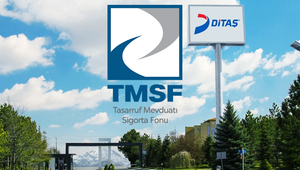 Hisseler tabana oturmuştu Ditaş resmen TMSF'ye devredildi