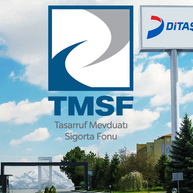 Hisseler tabana oturmuştu Ditaş resmen TMSF'ye devredildi