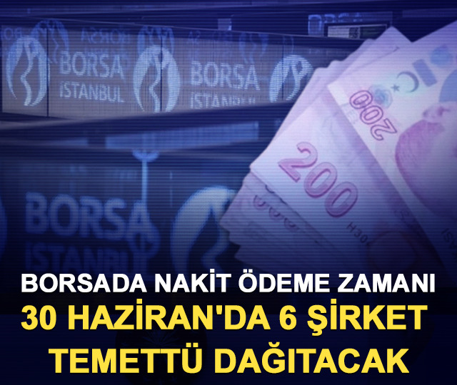 Borsada nakit &ouml;deme zamanı: 30 Haziran'da 6 şirket temett&uuml; dağıtacak
