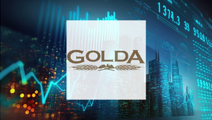 GOLDA halka arz sonu&ccedil;ları a&ccedil;ıklandı: Talep 2 katı aştı