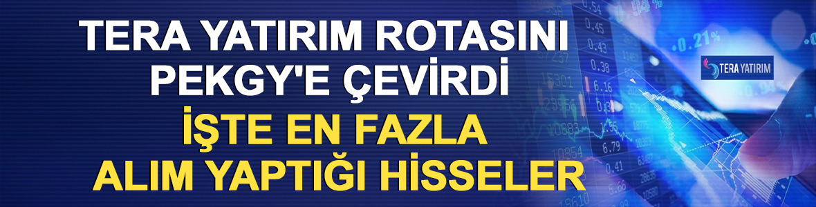 Tera Yatırım rotasını PEKGY'e &ccedil;evirdi: İşte en fazla alım yaptığı hisseler