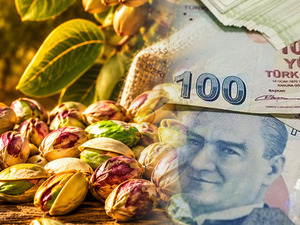 Yeşil altın para basıyor! T&uuml;rkiye milyonlar kazandı
