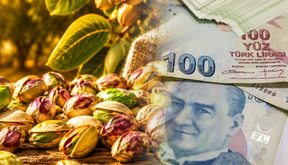 Yeşil altın para basıyor! Türkiye milyonlar kazandı