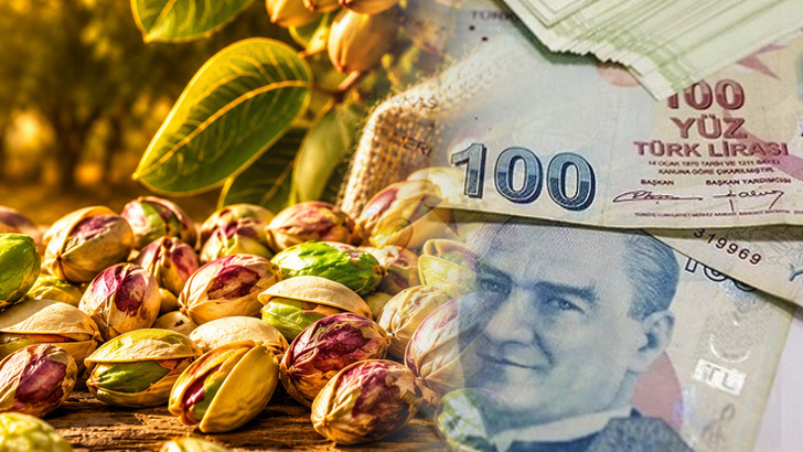 Yeşil altın para basıyor! T&uuml;rkiye milyonlar kazandı