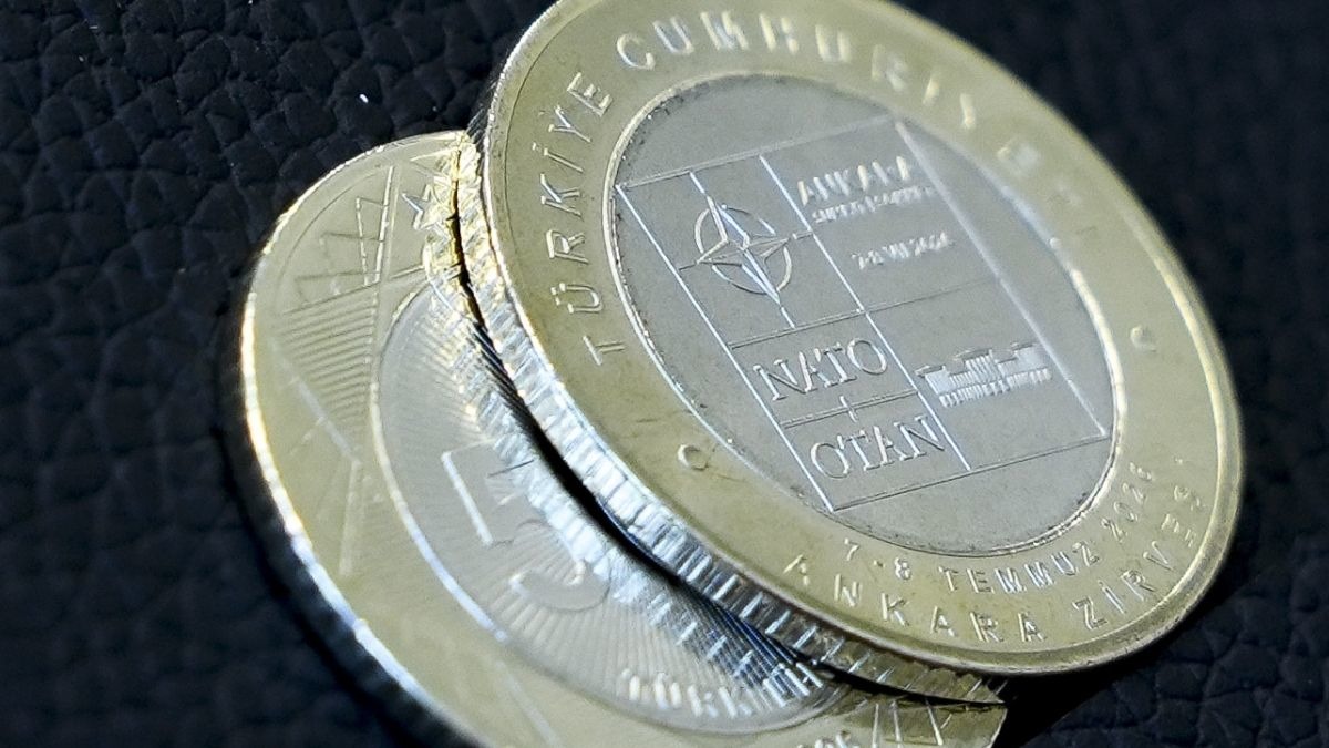 NATO anısına özel 5 lira! İşte yeni madeni para, Görsel 1