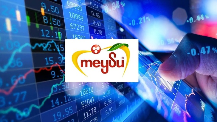 MEYSU hissesinde yarın temett&uuml; d&uuml;zeltmesi yapılacak!