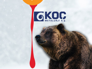 Tedbir sonrası KOCMT hisselerinde sert d&ouml;n&uuml;ş