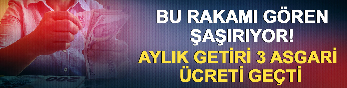 Bu rakamı g&ouml;ren şaşırıyor! Aylık getiri 3 asgari &uuml;creti ge&ccedil;ti