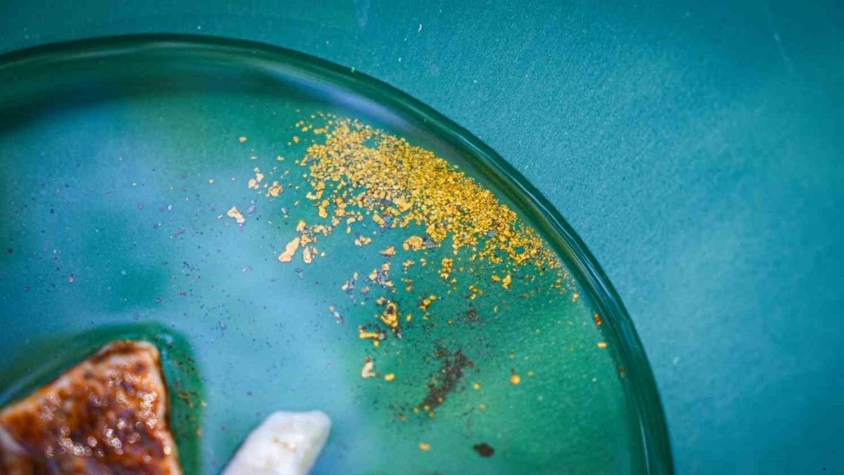 Bu hobi para kazandırıyor! Tek seferde 20 gram altın buluyorlar, Görsel 3