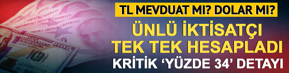 TL mevduat mı dolar mı? Mahfi Eğilmez yanıtladı: Kritik %34 detayı