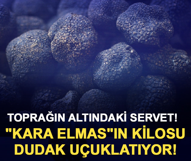 Toprağın altındaki servet! "Kara Elmas"ın kilosu dudak uçuklatıyor!