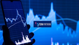 Tera Yatırım'ın bu hafta alıp sattığı hisseler