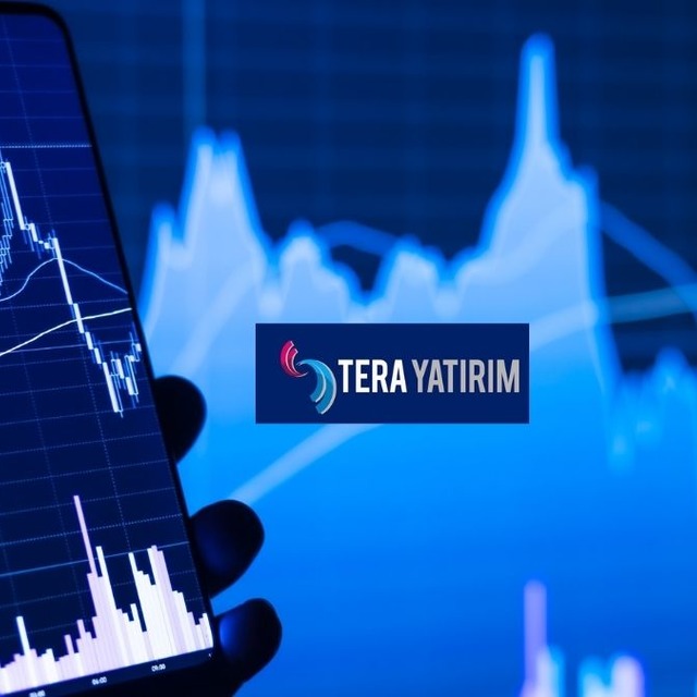 Tera Yatırım'ın bu hafta alıp sattığı hisseler