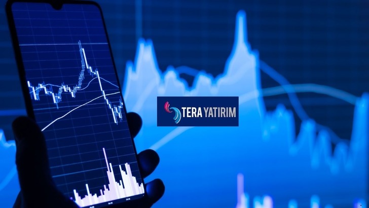 Tera Yatırım'ın bu hafta alıp sattığı hisseler