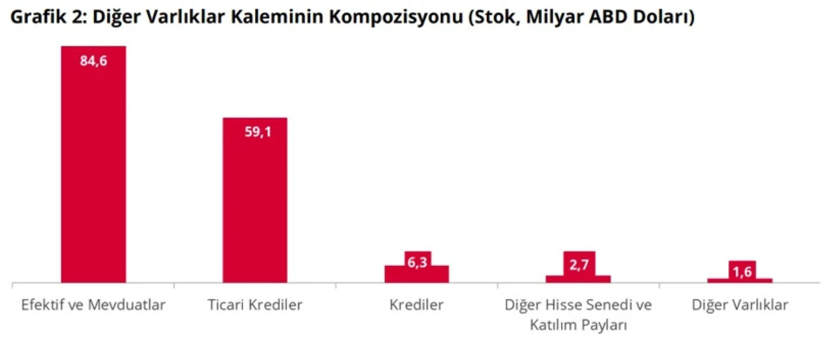 Türkiye nin net yatırım pozisyonu açığı 391,7 milyar dolar oldu, Görsel 1
