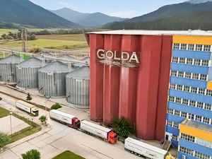 GOLDA'dan  3,04 milyon dolarlık satış s&ouml;zleşmesi! Hisse d&uuml;ş&uuml;şte