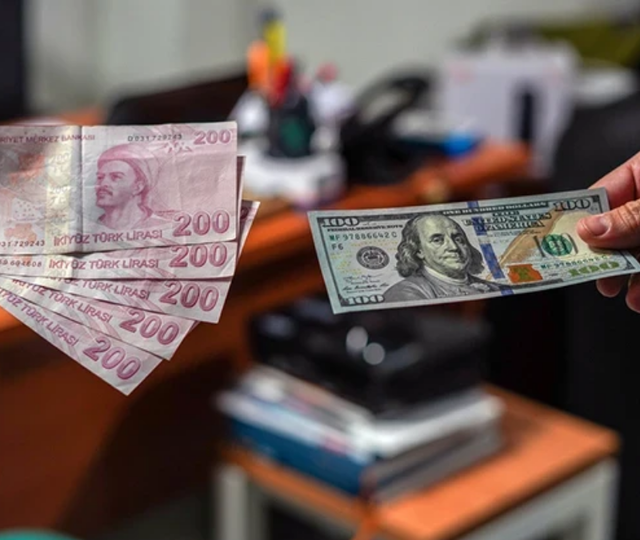 Vatandaş enflasyonda d&uuml;ş&uuml;ş, dolarda y&uuml;kseliş bekliyor