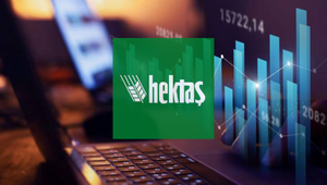 Hektaş (HEKTS) bedelsiz potansiyeli değişti