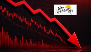 Gündoğdu Gıda (GUNDG) 6. gün yine taban! 1000 TL'ye yakın kayıp var
