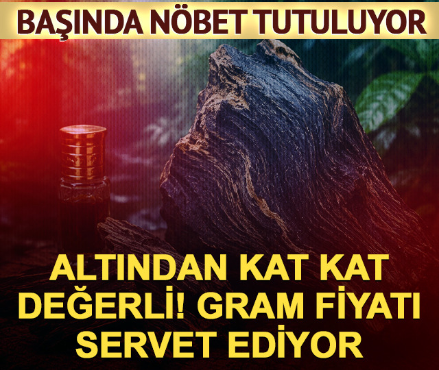 Altından kat kat değerli! Gramı 10 bin dolar, başında nöbet tutuluyor
