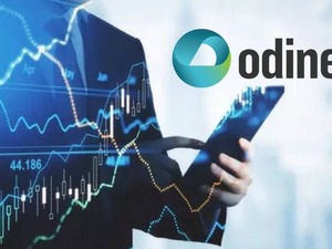 ODINE'ye 1 yıl &ouml;nce 10 bin TL yatıran bug&uuml;n ne kadar kazandı?