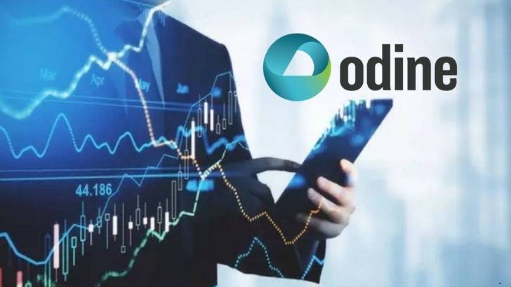 ODINE'ye 1 yıl &ouml;nce 10 bin TL yatıran bug&uuml;n ne kadar kazandı?